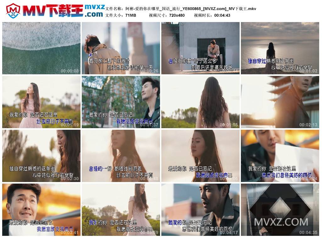 阿彬-爱的你在哪里_国语_流行_YE600865